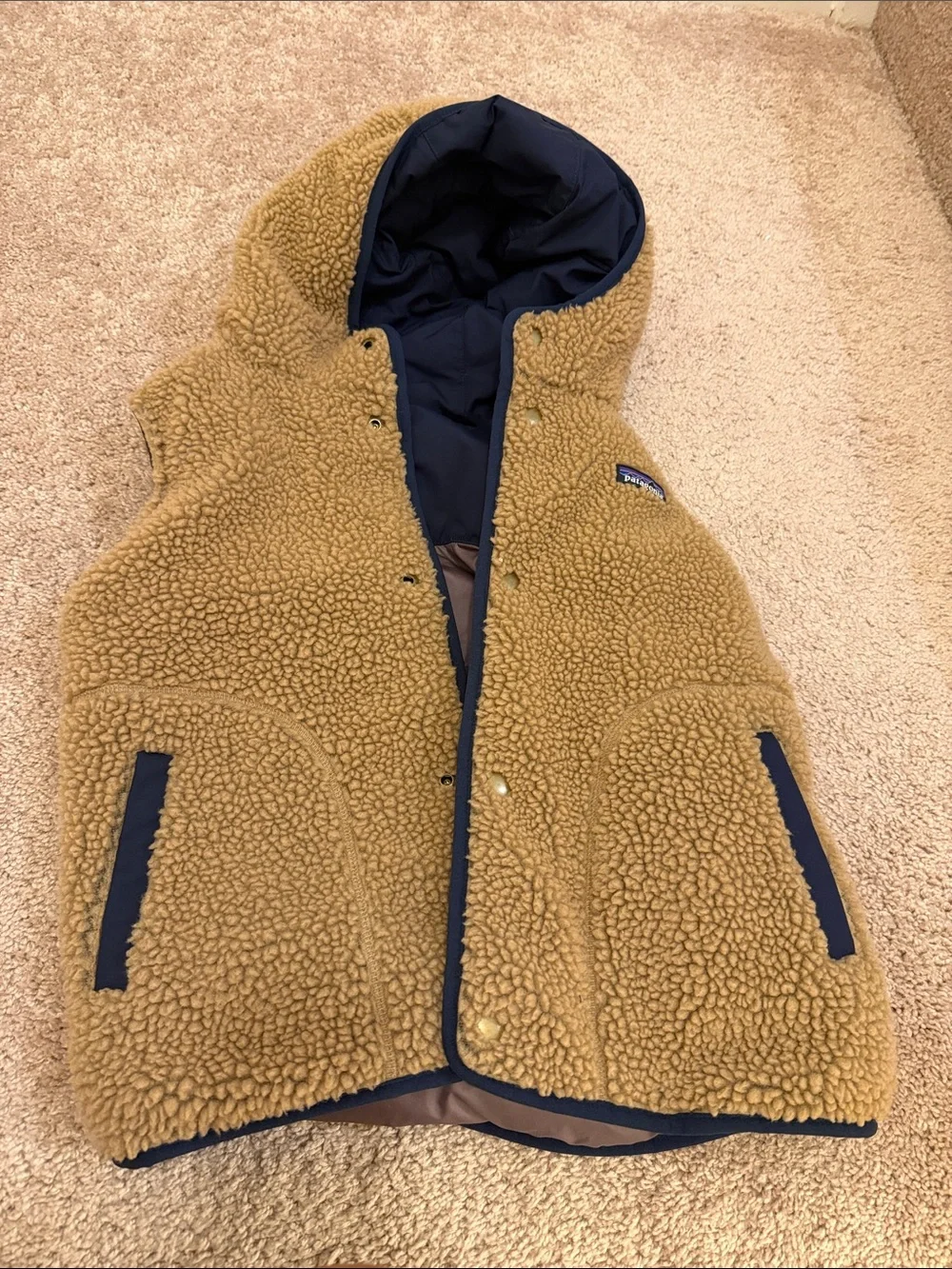 Patagonia Vest